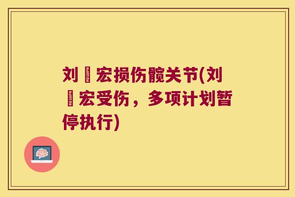 刘畊宏损伤髋关节(刘畊宏受伤，多项计划暂停执行)