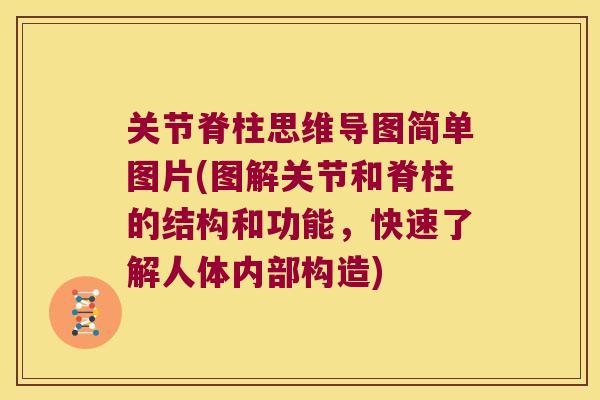 关节脊柱思维导图简单图片(图解关节和脊柱的结构和功能，快速了解人体内部构造)