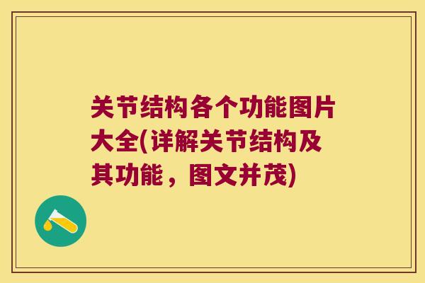 关节结构各个功能图片大全(详解关节结构及其功能,图文并茂) 关节结构各个功能图片大全(详解关节结构及其功能,图文并茂)