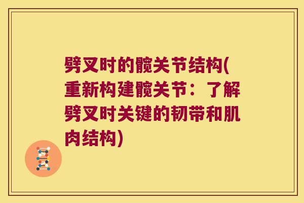 劈叉时的髋关节结构(重新构建髋关节：了解劈叉时关键的韧带和肌肉结构)