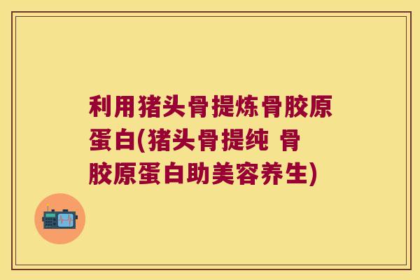 利用猪头骨提炼骨胶原蛋白(猪头骨提纯 骨胶原蛋白助美容养生)