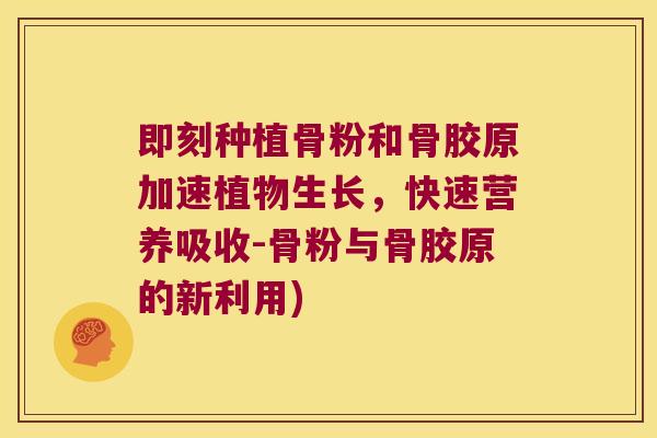 即刻种植骨粉和骨胶原加速植物生长，快速营养吸收-骨粉与骨胶原的新利用)