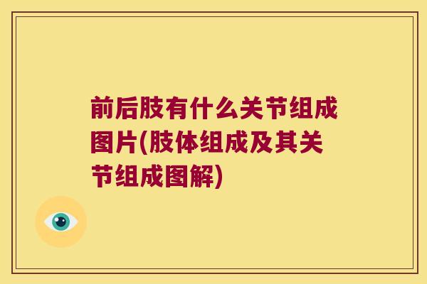 前后肢有什么关节组成图片(肢体组成及其关节组成图解)