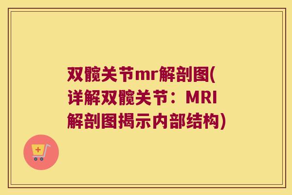 双髋关节mr解剖图(详解双髋关节：MRI解剖图揭示内部结构)