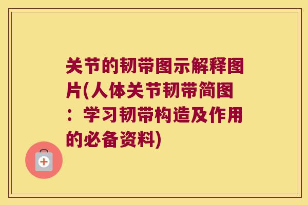 关节的韧带图示解释图片(人体关节韧带简图:学习韧带构造及作用的必备资料) 关节的韧带图示解释图片(人体关节韧带简图:学习韧带构造及作用的必备资料)