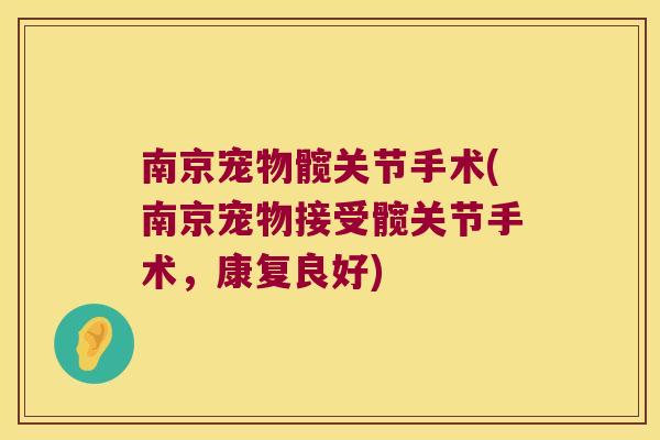 南京宠物髋关节手术(南京宠物接受髋关节手术,康复良好) 南京宠物髋关节手术(南京宠物接受髋关节手术,康复良好)