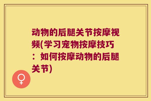 动物的后腿关节按摩视频(学习宠物按摩技巧：如何按摩动物的后腿关节)