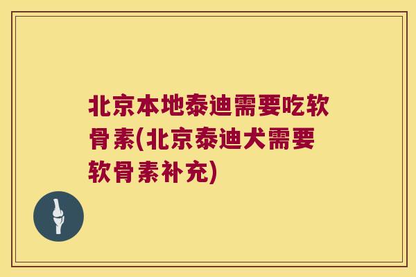 北京本地泰迪需要吃软骨素(北京泰迪犬需要软骨素补充)