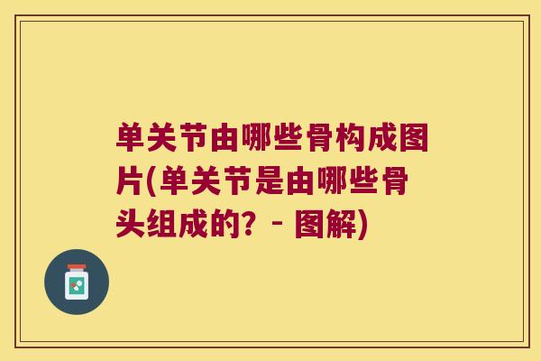 单关节由哪些骨构成图片(单关节是由哪些骨头组成的?- 图解) 单关节由哪些骨构成图片(单关节是由哪些骨头组成的?- 图解)