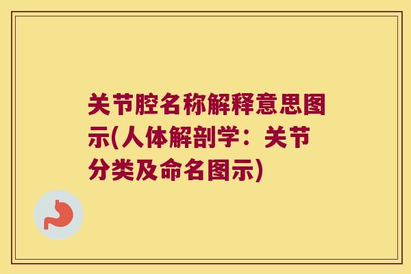 关节腔名称解释意思图示(人体解剖学:关节分类及命名图示) 关节腔名称解释意思图示(人体解剖学:关节分类及命名图示)