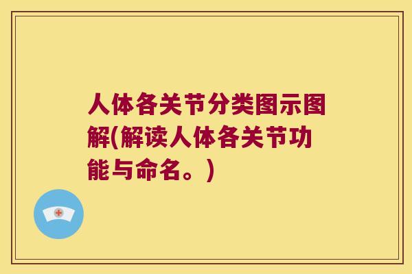 人体各关节分类图示图解(解读人体各关节功能与命名。)
