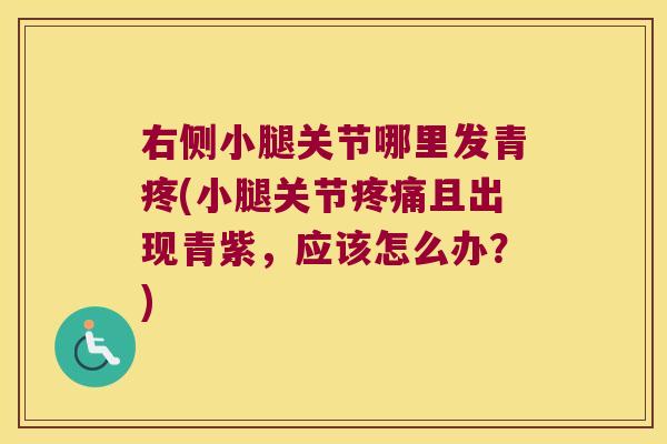 右侧小腿关节哪里发青疼(小腿关节且出现青紫，应该怎么办？)
