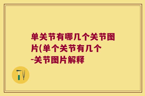 单关节有哪几个关节图片(单个关节有几个 -关节图片解释