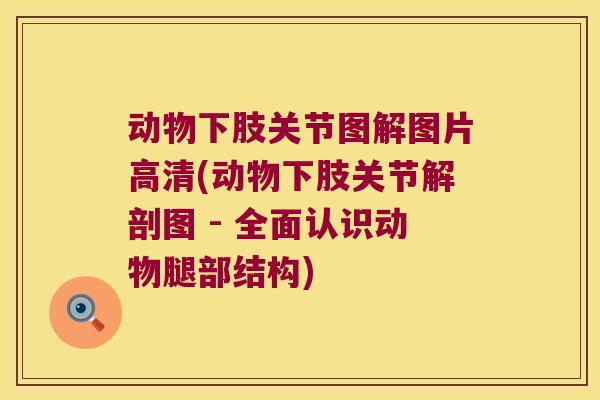 动物下肢关节图解图片高清(动物下肢关节解剖图 - 全面认识动物腿部结构) 动物下肢关节图解图片高清(动物下肢关节解剖图 - 全面认识动物腿部结构)