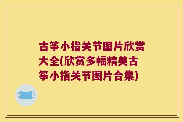 古筝小指关节图片欣赏大全(欣赏多幅精美古筝小指关节图片合集)