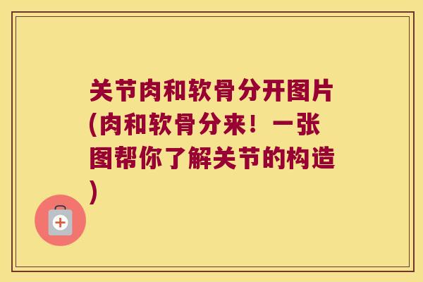关节肉和软骨分开图片(肉和软骨分来!一张图帮你了解关节的构造) 关节肉和软骨分开图片(肉和软骨分来!一张图帮你了解关节的构造)