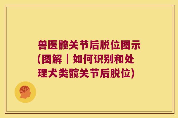 兽医髋关节后脱位图示(图解｜如何识别和处理犬类髋关节后脱位)