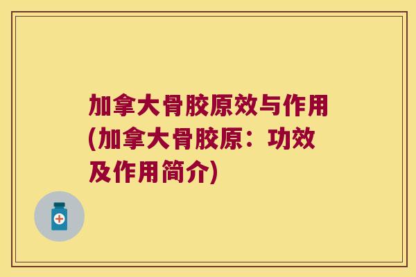 加拿大骨胶原效与作用(加拿大骨胶原：功效及作用简介)