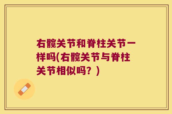 右髋关节和脊柱关节一样吗(右髋关节与脊柱关节相似吗？)