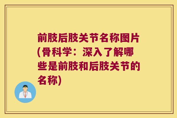前肢后肢关节名称图片(骨科学：深入了解哪些是前肢和后肢关节的名称)