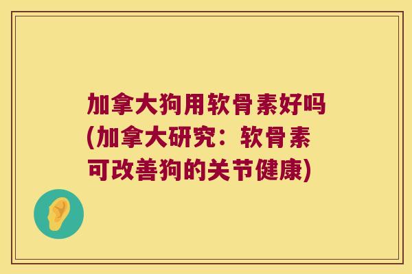 加拿大狗用软骨素好吗(加拿大研究:软骨素可改善狗的关节健康) 加拿大狗用软骨素好吗(加拿大研究:软骨素可改善狗的关节健康)