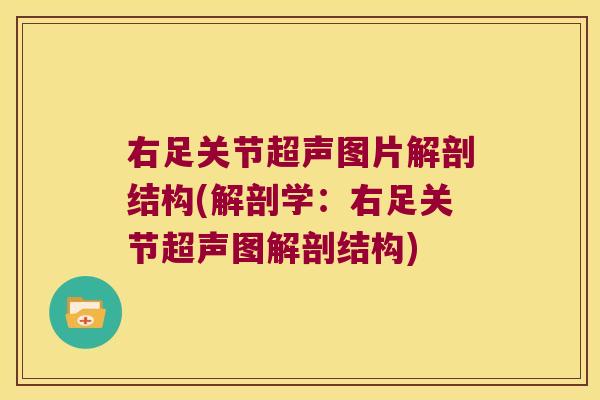 右足关节超声图片解剖结构(解剖学：右足关节超声图解剖结构)