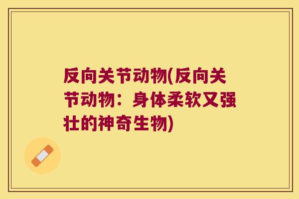 反向关节动物(反向关节动物:身体柔软又强壮的神奇生物) 反向关节动物(反向关节动物:身体柔软又强壮的神奇生物)