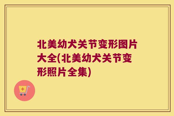 北美幼犬关节变形图片大全(北美幼犬关节变形照片全集) 北美幼犬关节变形图片大全(北美幼犬关节变形照片全集)