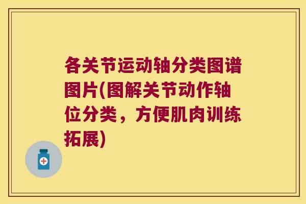 各关节运动轴分类图谱图片(图解关节动作轴位分类，方便肌肉训练拓展)