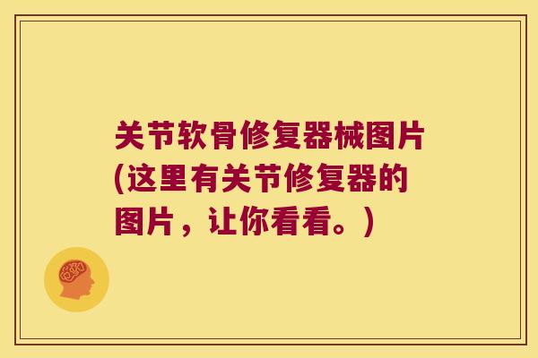 关节软骨修复器械图片(这里有关节修复器的图片,让你看看。) 关节软骨修复器械图片(这里有关节修复器的图片,让你看看。)