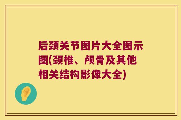 后颈关节图片大全图示图(颈椎、颅骨及其他相关结构影像大全) 后颈关节图片大全图示图(颈椎、颅骨及其他相关结构影像大全)