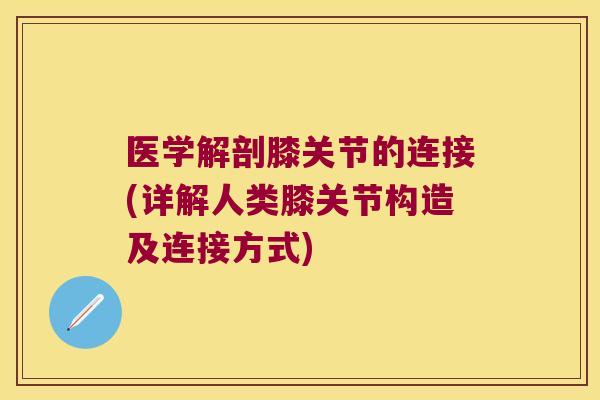 医学解剖膝关节的连接(详解人类膝关节构造及连接方式)
