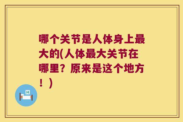 哪个关节是人体身上大的(人体大关节在哪里?原来是这个地方!) 哪个关节是人体身上大的(人体大关节在哪里?原来是这个地方!)