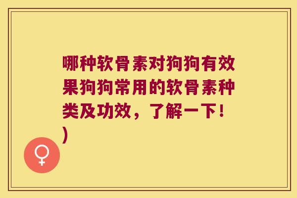 哪种软骨素对狗狗有效果狗狗常用的软骨素种类及功效，了解一下！)