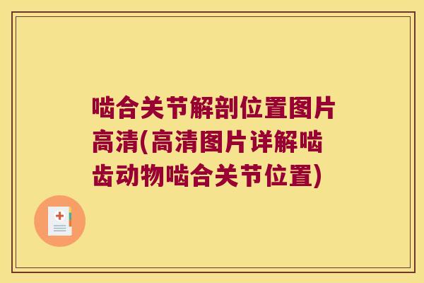 啮合关节解剖位置图片高清(高清图片详解啮齿动物啮合关节位置) 啮合关节解剖位置图片高清(高清图片详解啮齿动物啮合关节位置)