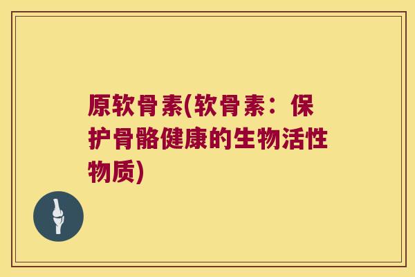原软骨素(软骨素:保护骨骼健康的生物活性物质) 原软骨素(软骨素:保护骨骼健康的生物活性物质)
