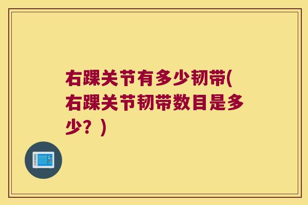 右踝关节有多少韧带(右踝关节韧带数目是多少？)