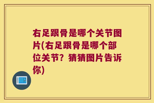 右足跟骨是哪个关节图片(右足跟骨是哪个部位关节？猜猜图片告诉你)