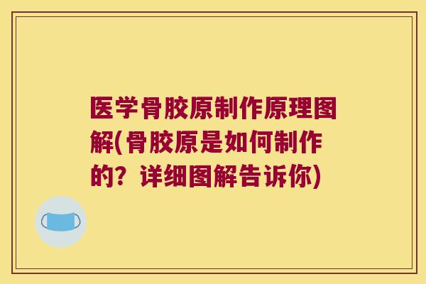 医学骨胶原制作原理图解(骨胶原是如何制作的？详细图解告诉你)