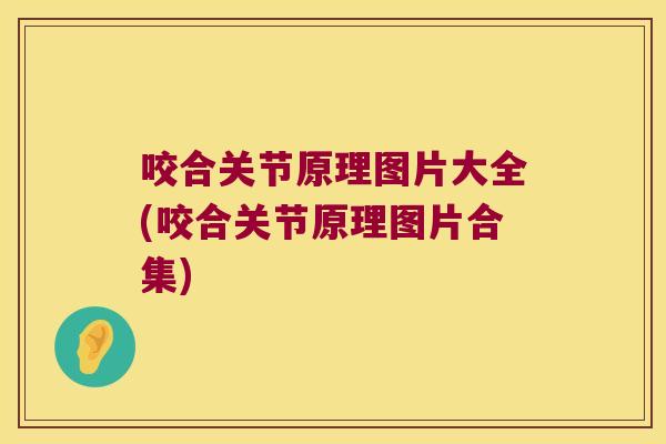 咬合关节原理图片大全(咬合关节原理图片合集)