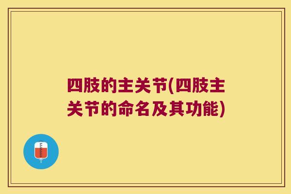 四肢的主关节(四肢主关节的命名及其功能)