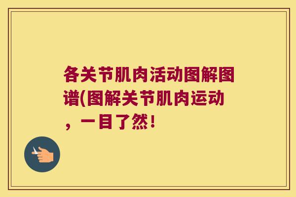 各关节肌肉活动图解图谱(图解关节肌肉运动,一目了然! 各关节肌肉活动图解图谱(图解关节肌肉运动,一目了然!
