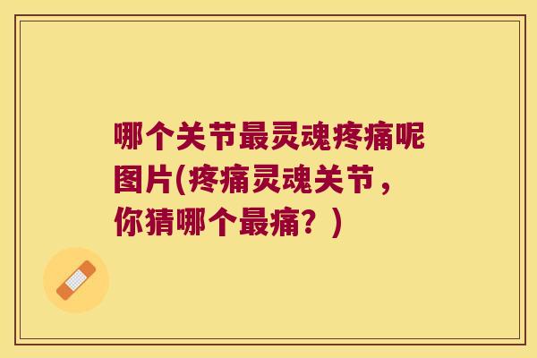 哪个关节灵魂呢图片(灵魂关节，你猜哪个痛？)