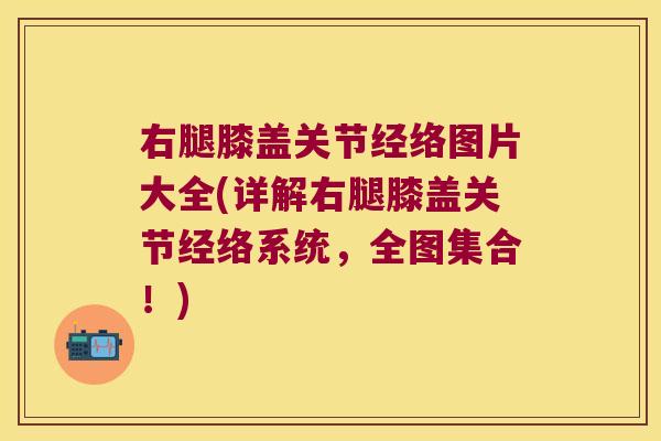 右腿膝盖关节经络图片大全(详解右腿膝盖关节经络系统,全图集合!) 右腿膝盖关节经络图片大全(详解右腿膝盖关节经络系统,全图集合!)