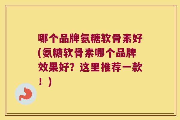 哪个品牌氨糖软骨素好(氨糖软骨素哪个品牌效果好？这里推荐一款！)