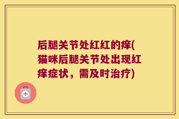 后腿关节处红红的痒(猫咪后腿关节处出现红痒症状,需及时) 后腿关节处红红的痒(猫咪后腿关节处出现红痒症状,需及时)