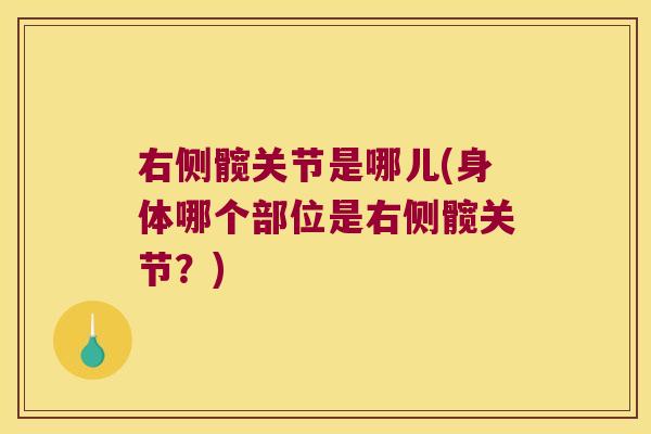 右侧髋关节是哪儿(身体哪个部位是右侧髋关节？)