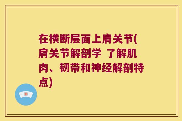在横断层面上肩关节(肩关节解剖学 了解肌肉、韧带和解剖特点)