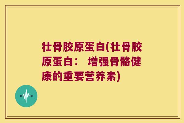 壮骨胶原蛋白(壮骨胶原蛋白： 增强骨骼健康的重要营养素)