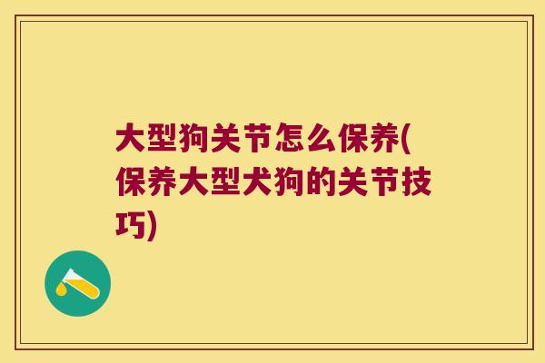 大型狗关节怎么保养(保养大型犬狗的关节技巧)